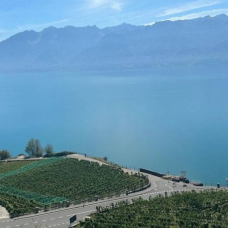 Room With 360° View Overlooking Lake Geneva And Alps Puidoux Eksteriør billede