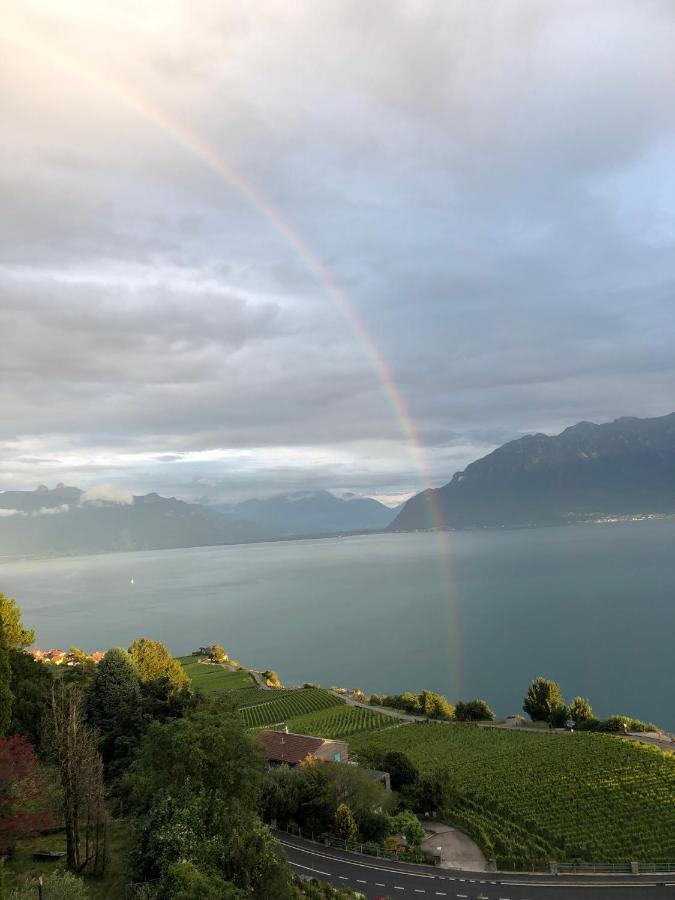 Room With 360° View Overlooking Lake Geneva And Alps Puidoux Eksteriør billede