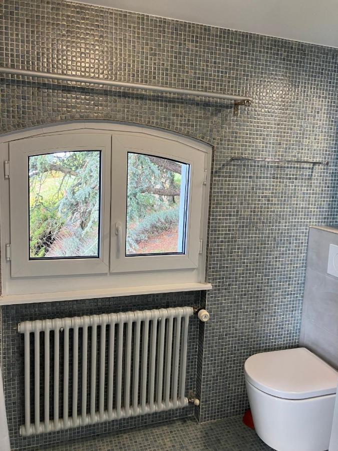 Room With 360° View Overlooking Lake Geneva And Alps Puidoux Eksteriør billede