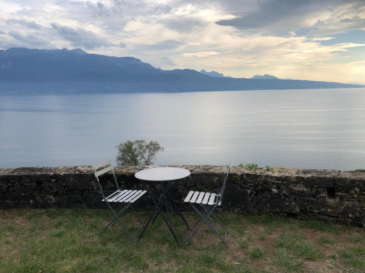 Room With 360° View Overlooking Lake Geneva And Alps Puidoux Eksteriør billede