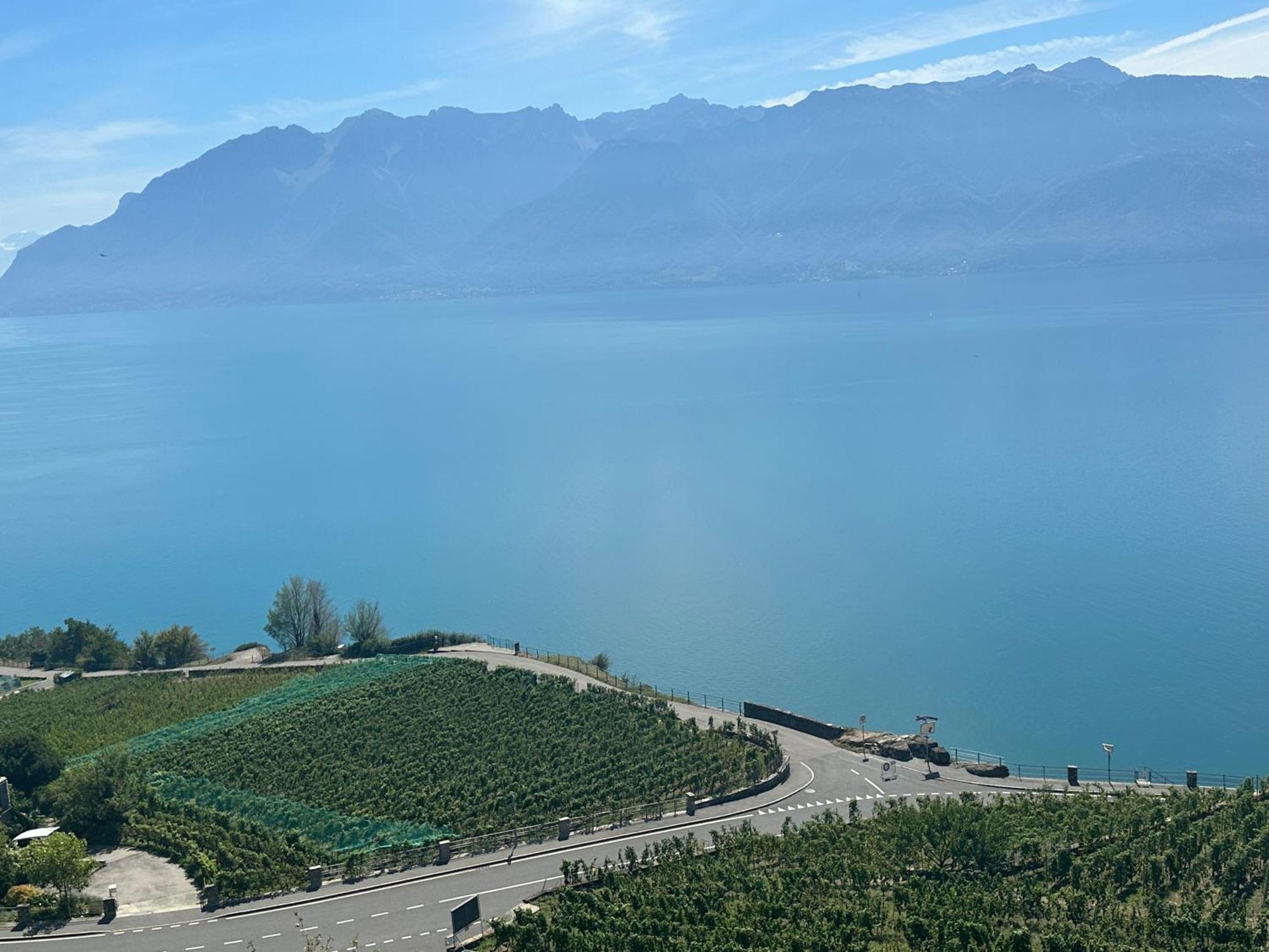 Room With 360° View Overlooking Lake Geneva And Alps Puidoux Eksteriør billede